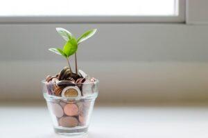 A plant in a glass cup with coins from around the world. The plant symbolizes the hypergrowth your company might experience.